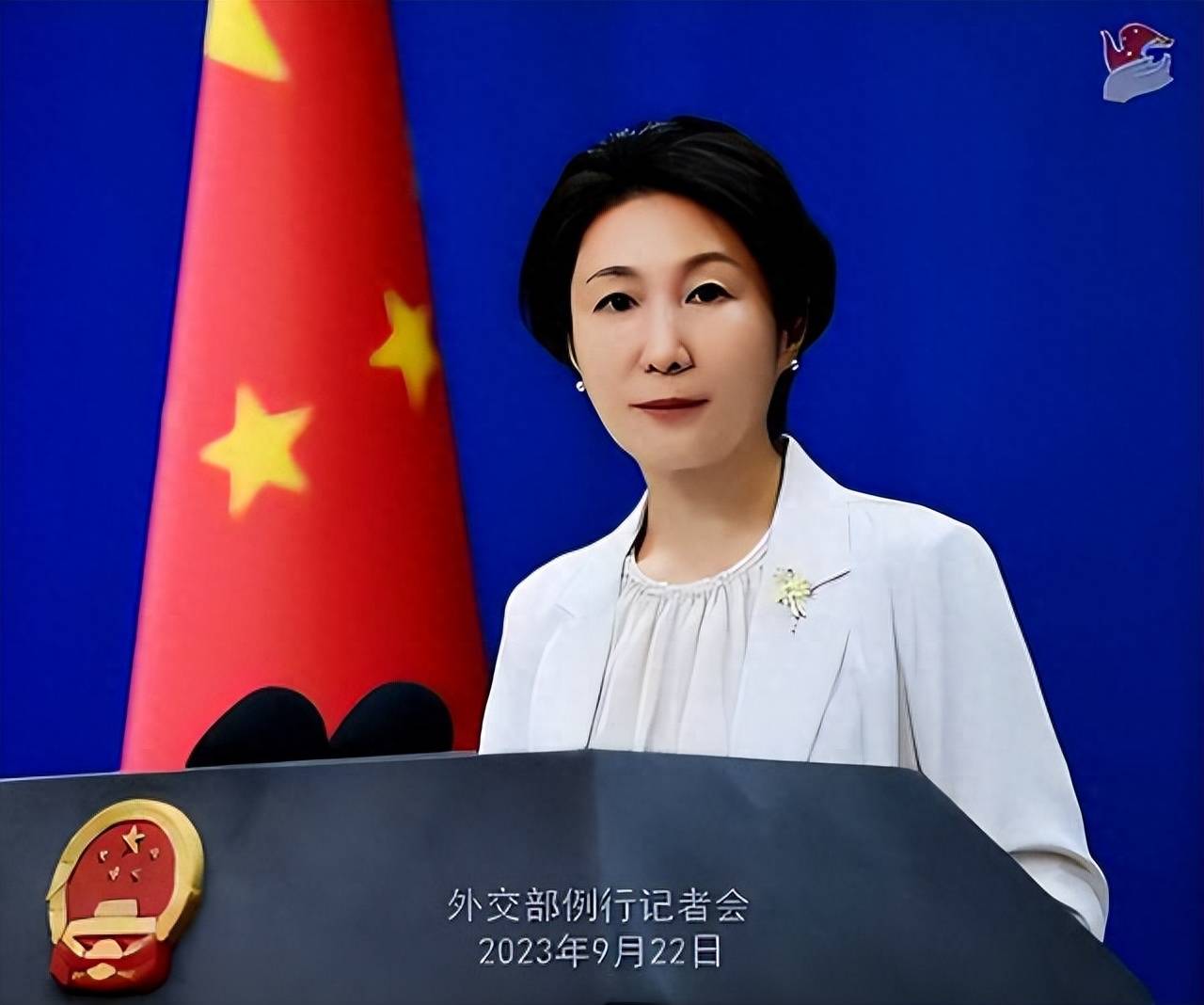 脸优app下载安卓版:美国驻日本大使称中方对排海的反应是“经济胁迫”，外交部回应